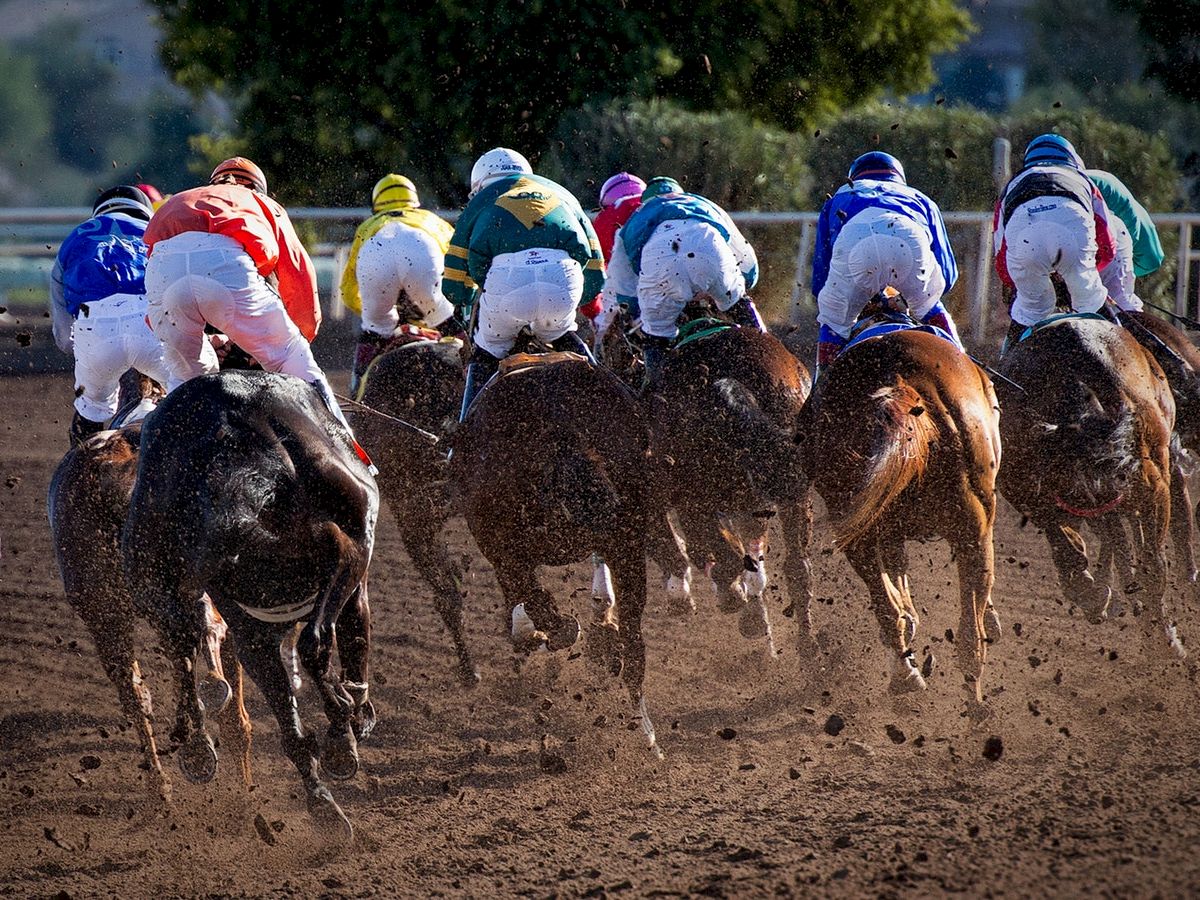 The image shows a group of jockeys riding horses during a horse race, viewed from behind, as they kick up dust on a dirt track.